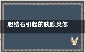 胆结石引起的胰腺炎怎么治疗 (胆结石引起的胰腺炎能***吗)